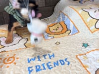 My personality & characteristics