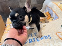 My personality & characteristics