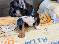 My personality & video