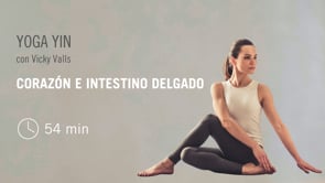 Yoga Yin (corazón e intestino delgado) con Vicky Valls #878