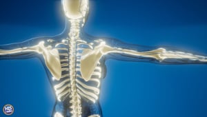 The Weirdest Thing that Was In Your Car