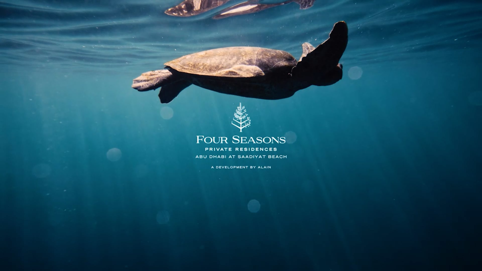 Video Residencias en Saadiyat Beach