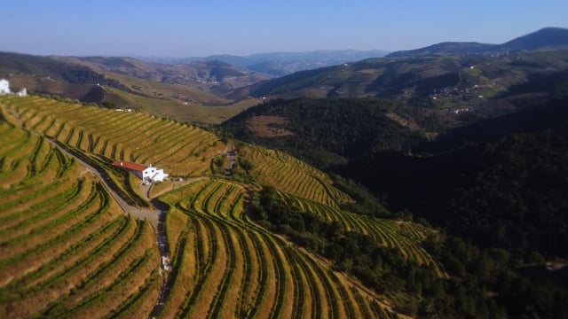 Quinta da Pedra Alta