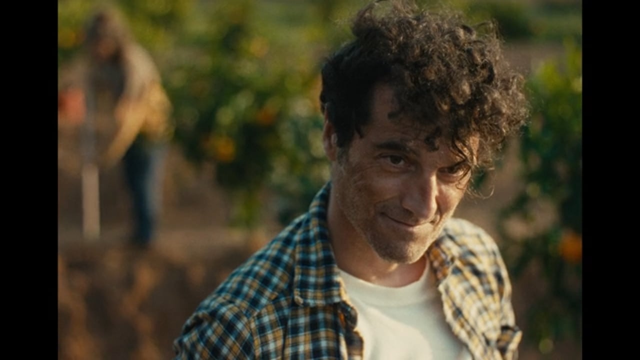 Thumbnail for MC DONALDS – “El Campo x El Campo”