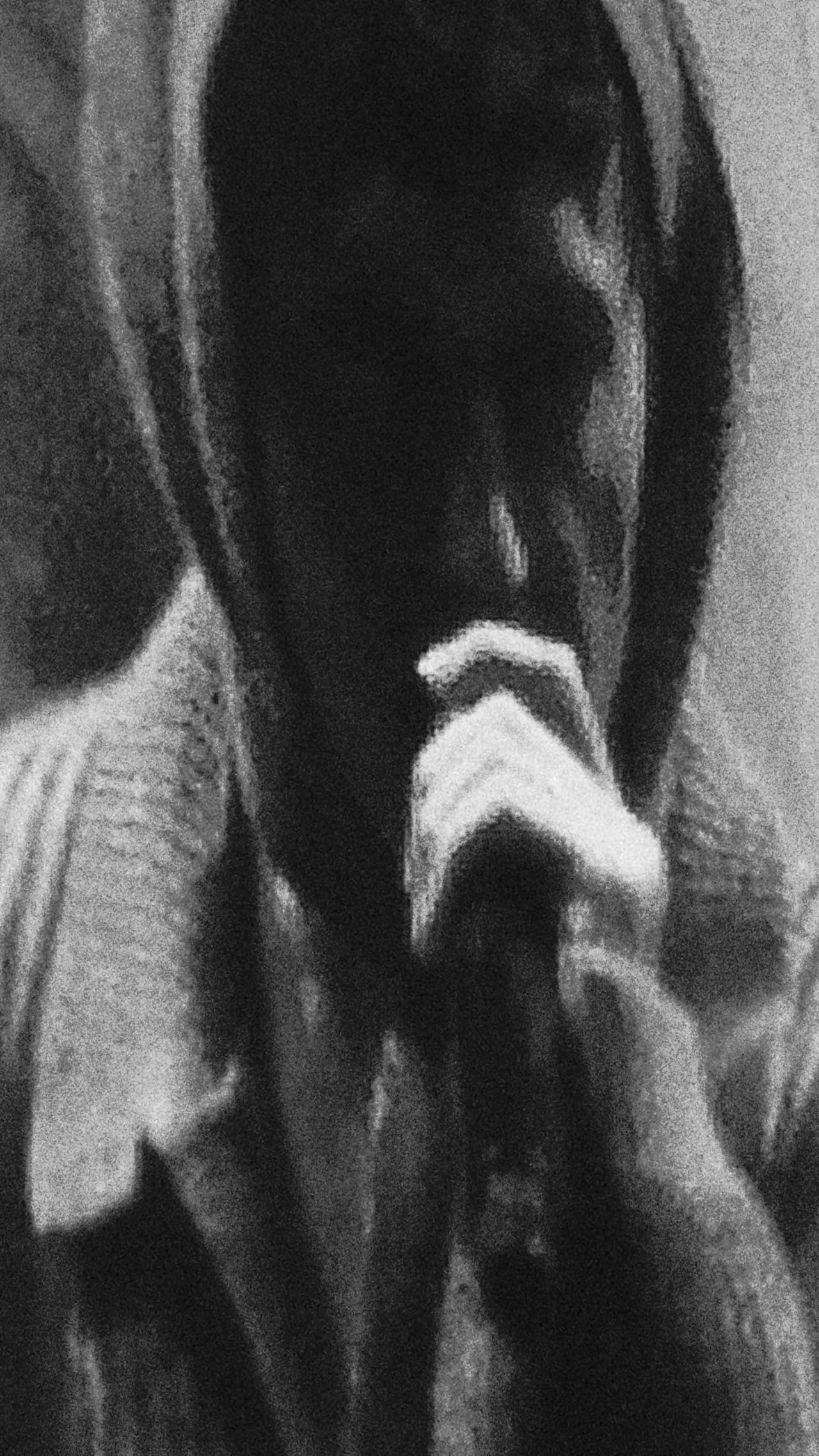 Thumbnail for TSU LANGE YOR x TROYE SIVAN