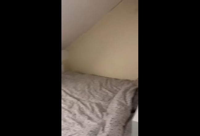 En-suite and Studios near university Main Photo