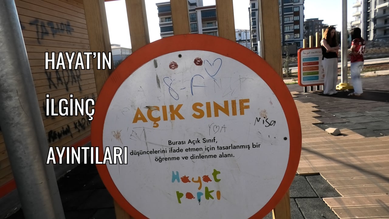 Hayat'ın İlginç Ayrıntıları