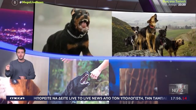 Άγιος Φλώρος Μεσσηνίας: Ροτβάιλερ επιτέθηκε και δάγκωσε τον ιδιοκτήτη του που το χτυπούσε με αλυσίδα στο κεφάλι 31-10-2025