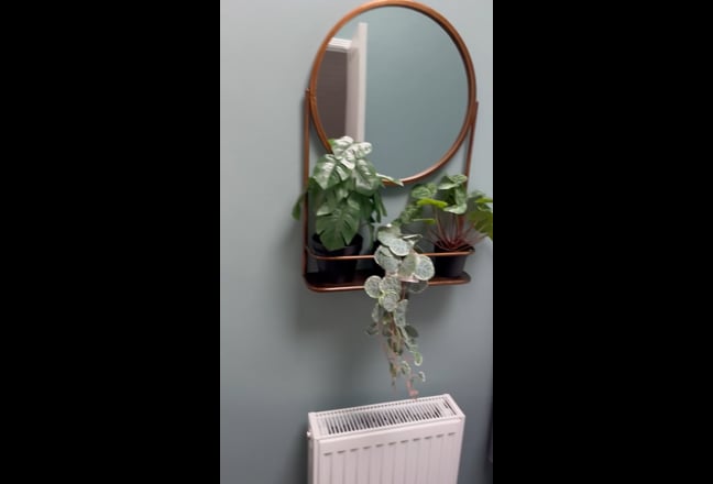 Quiet room in central Truro  Main Photo