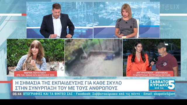 Μ. Πουλτίδου: Το Ροτβάιλερ αντιδρά και δαγκώνει το χέρι που το χτυπάει 2-11-2025