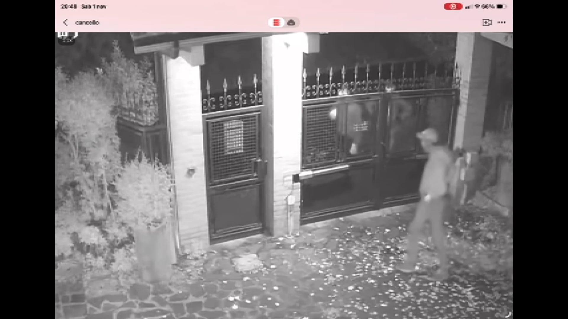 Wilma, il cane di una 80enne, si accorge dell’intrusione dei ladri e li mette in fuga