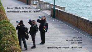 Sensory Walks In Venice (1080p)