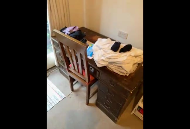 Garden room for rent in 2 bedroom Garden Flat Main Photo