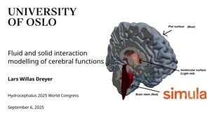 Fluid and solid interaction modelling of cerebral functions-Lars Willas Dreyer