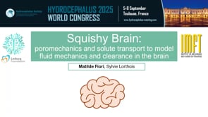 Squishy Brain: Poromechanics and solute transport to model fluid mechanics and clearance in the brain-Matilde Fiori