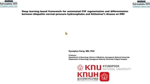 Deep learning-based framework for automated CSF segmentation and differentiation between idiopathic pressure-Kyunghun Kang