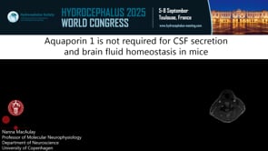 Aquaporin 1 is not required for CSF secretion and brain fluid homeostasis in mice-Nanna MacAulay