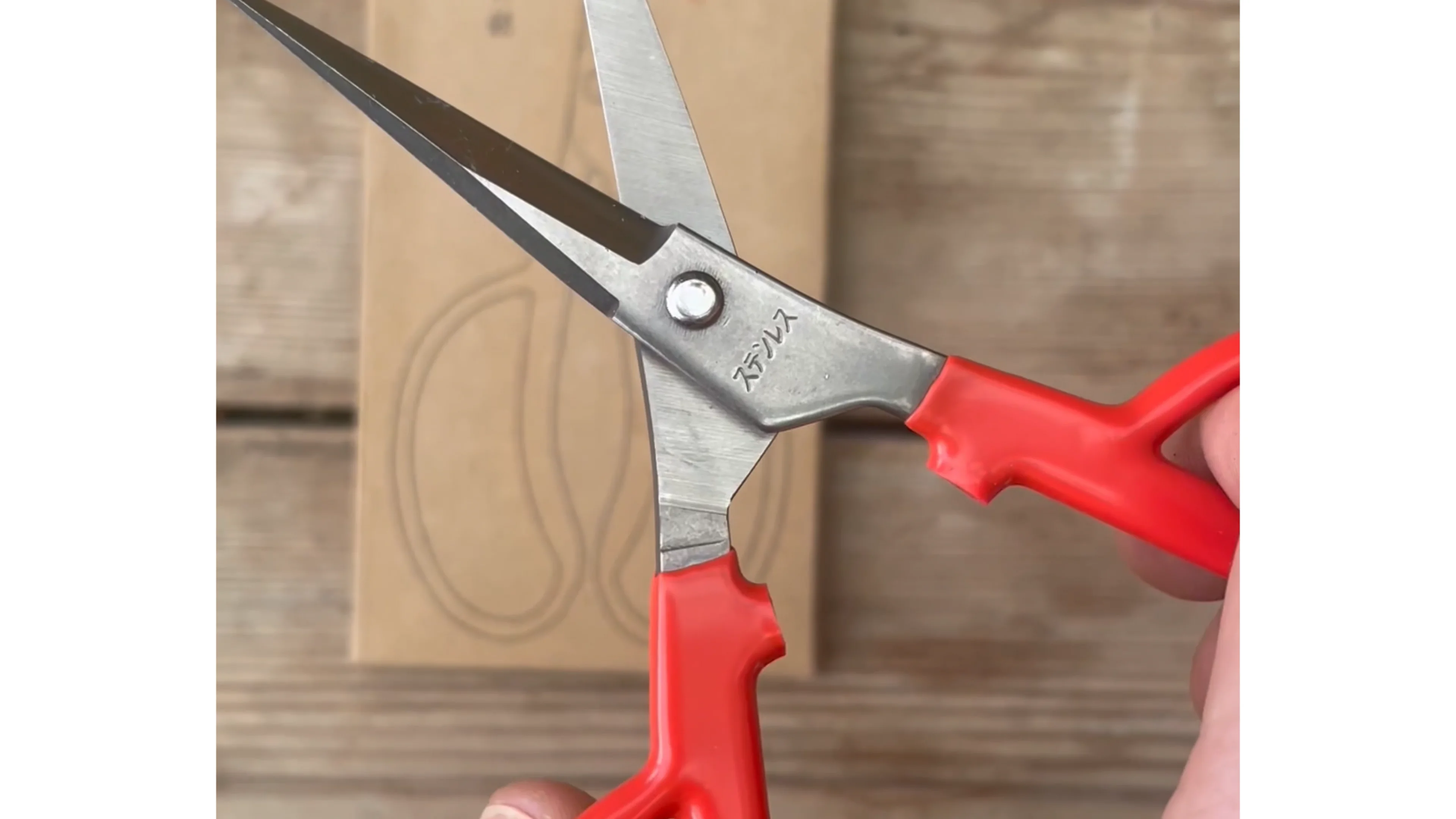 Niwaki Grape Snips - Grape Thinning Snips