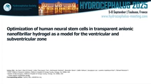 Optimization of human neural stem cells in transparent anionic nanofibrillar hydrogel as a model for the ventricular-Sydney Milo
