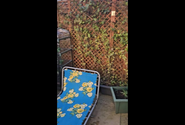 Double room in family home Main Photo