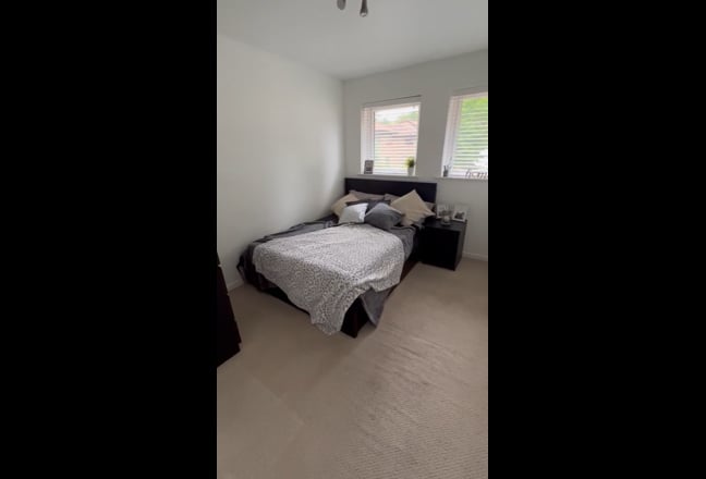 Professional, sociable and friendly home Main Photo