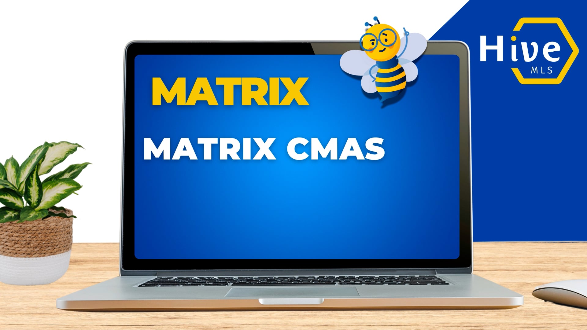 Matrix CMAs