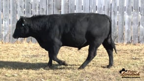 DDA Back To The Future 9B