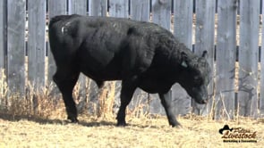 DDA Back To The Future 32B