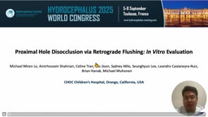 Proximal Hole Disocclusion via Retrograde Flushing: In Vitro Evaluation-Michael Nhien Le