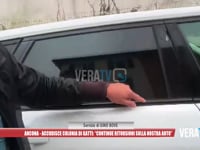 Ancona - Accudisce una colonia di gatti: "Continue ritorsioni sulle nostre auto"