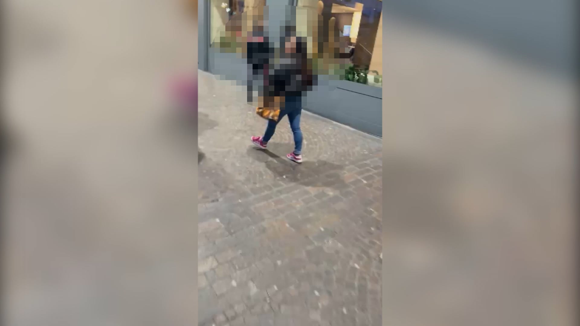 Ruba lo zaino a una turista, fermato dai passanti