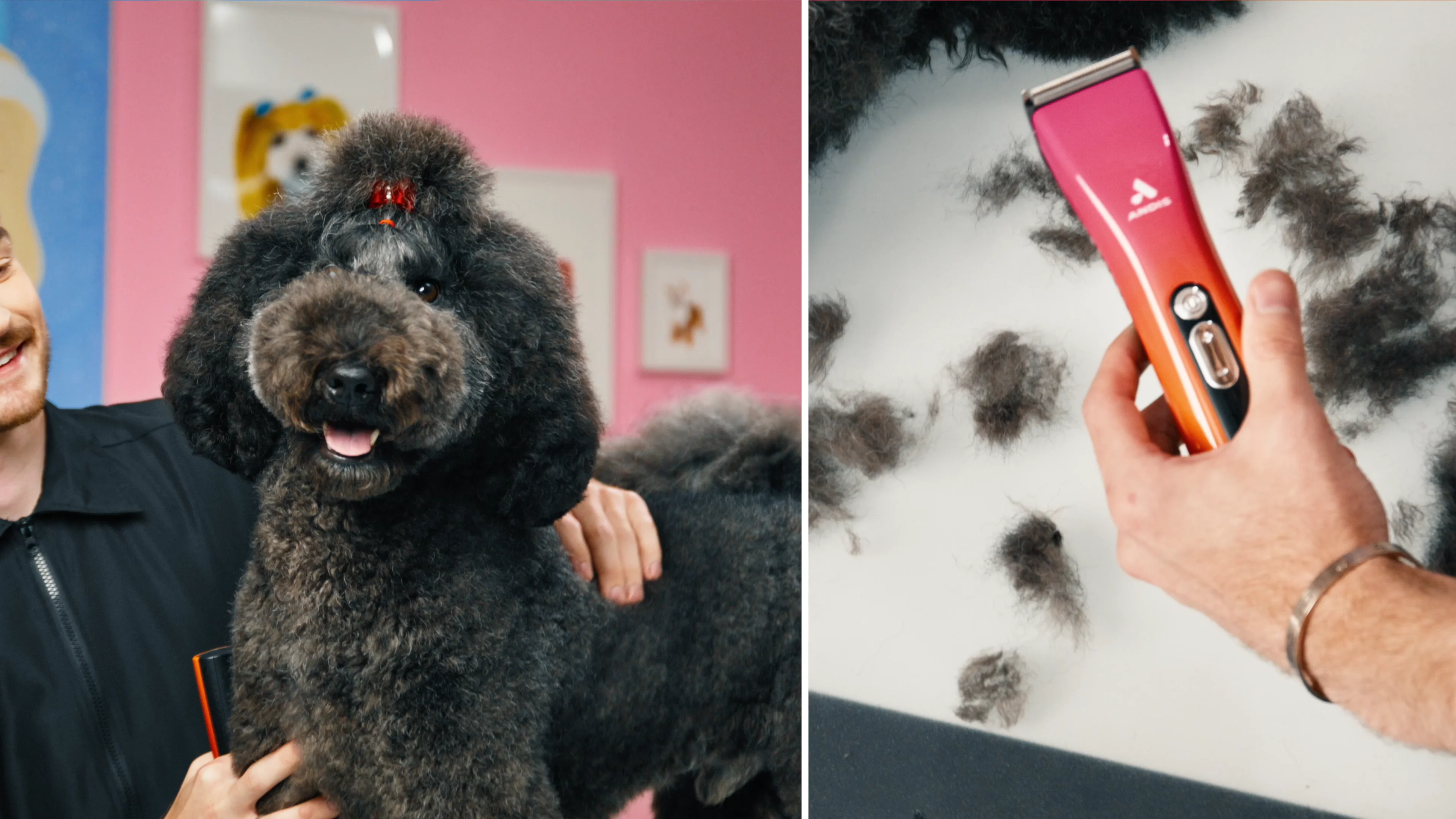 Andis ProClip 5-in-1 Animal Clipper | Sunset