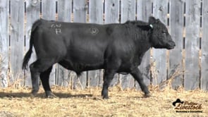 DDA Great Plains 20B