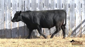 DDA Trouble Free 30B