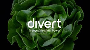 Addressing the Wasted Food Problem