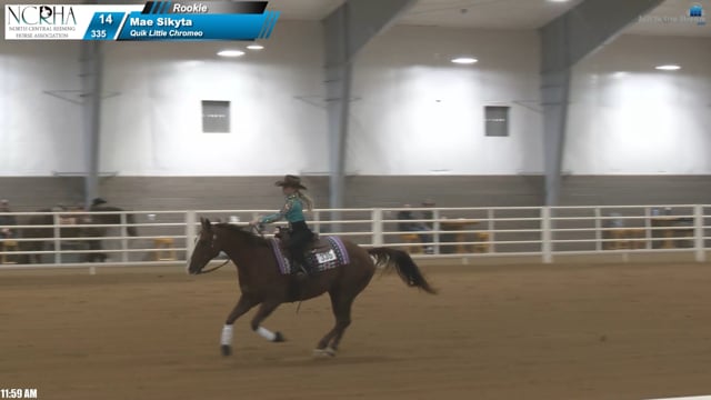 #335 Mae Sikyta