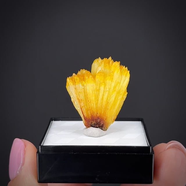 Legrandite - SCH-54 - Ojuela Mine - Mexico Mineral Specimen