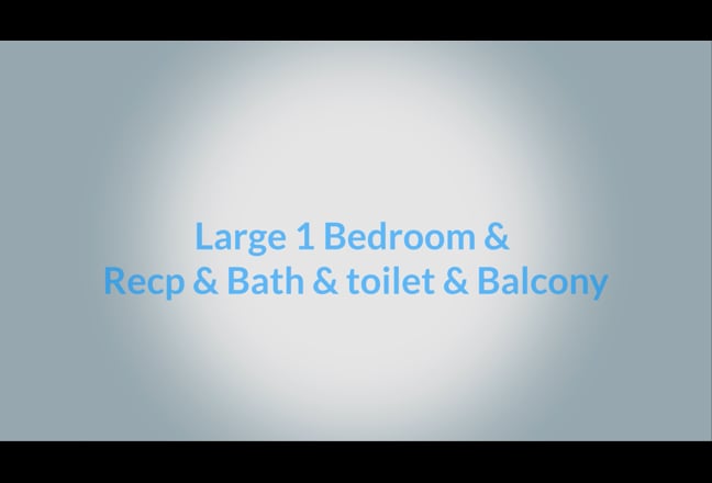 Large 1 Bed 1 Bath with Balcony Flat in Mayfair Main Photo