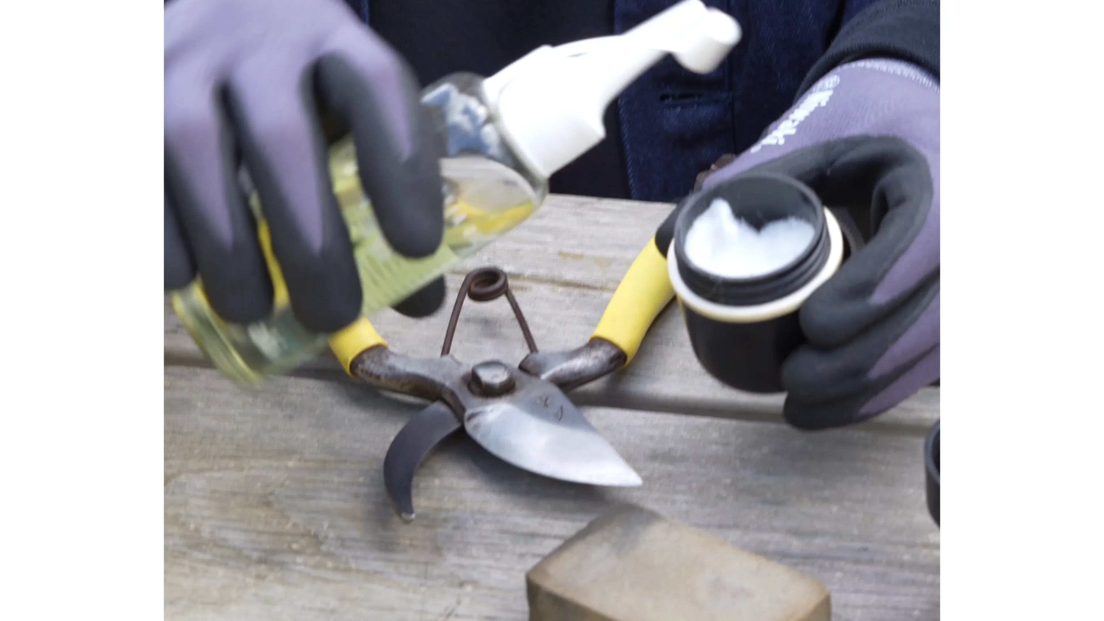 Niwaki 椿油ツールケア - 庭木