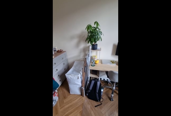 Double room in 2 bed flat, with a separate office Main Photo