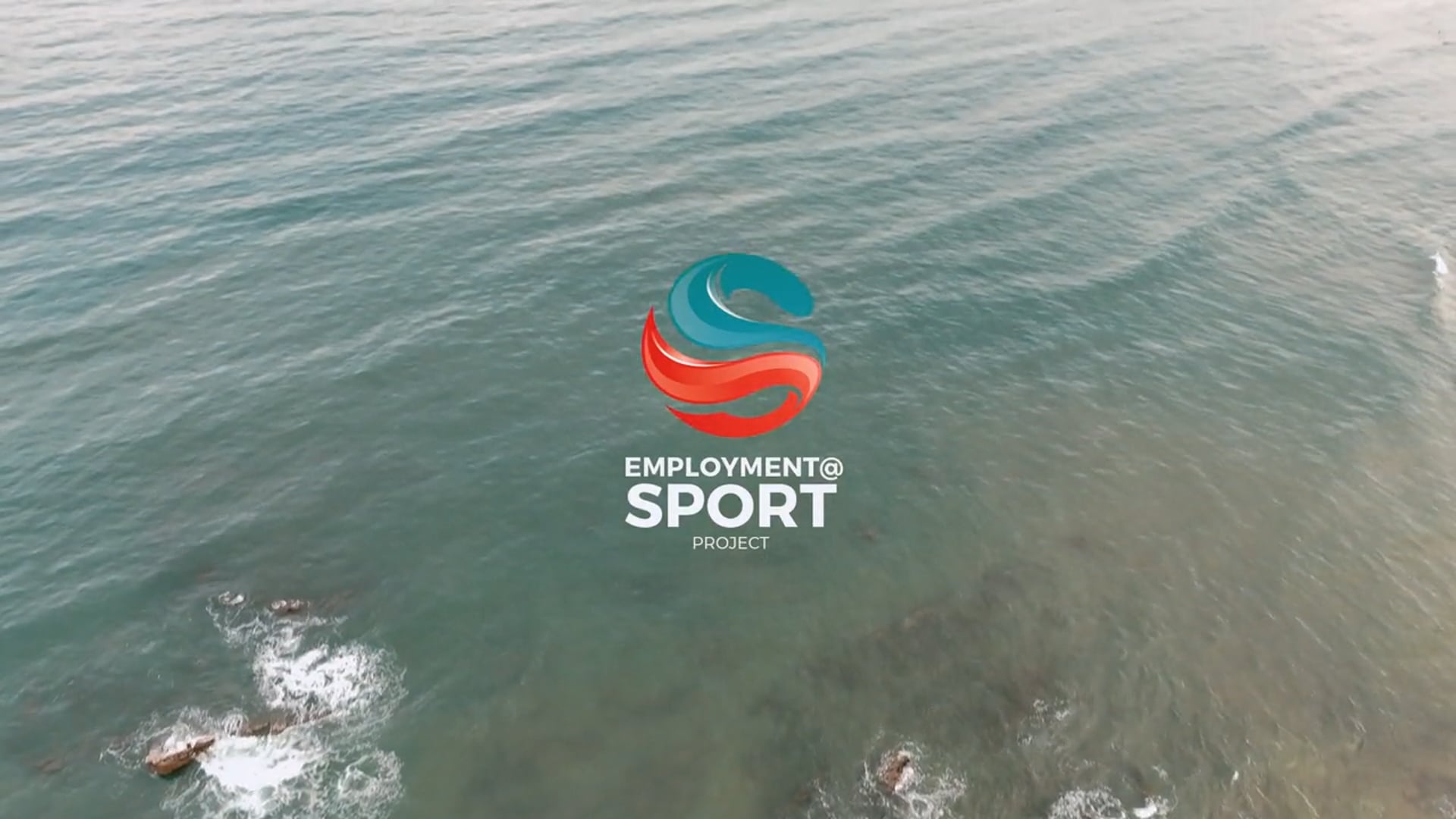 Partners' testimonials