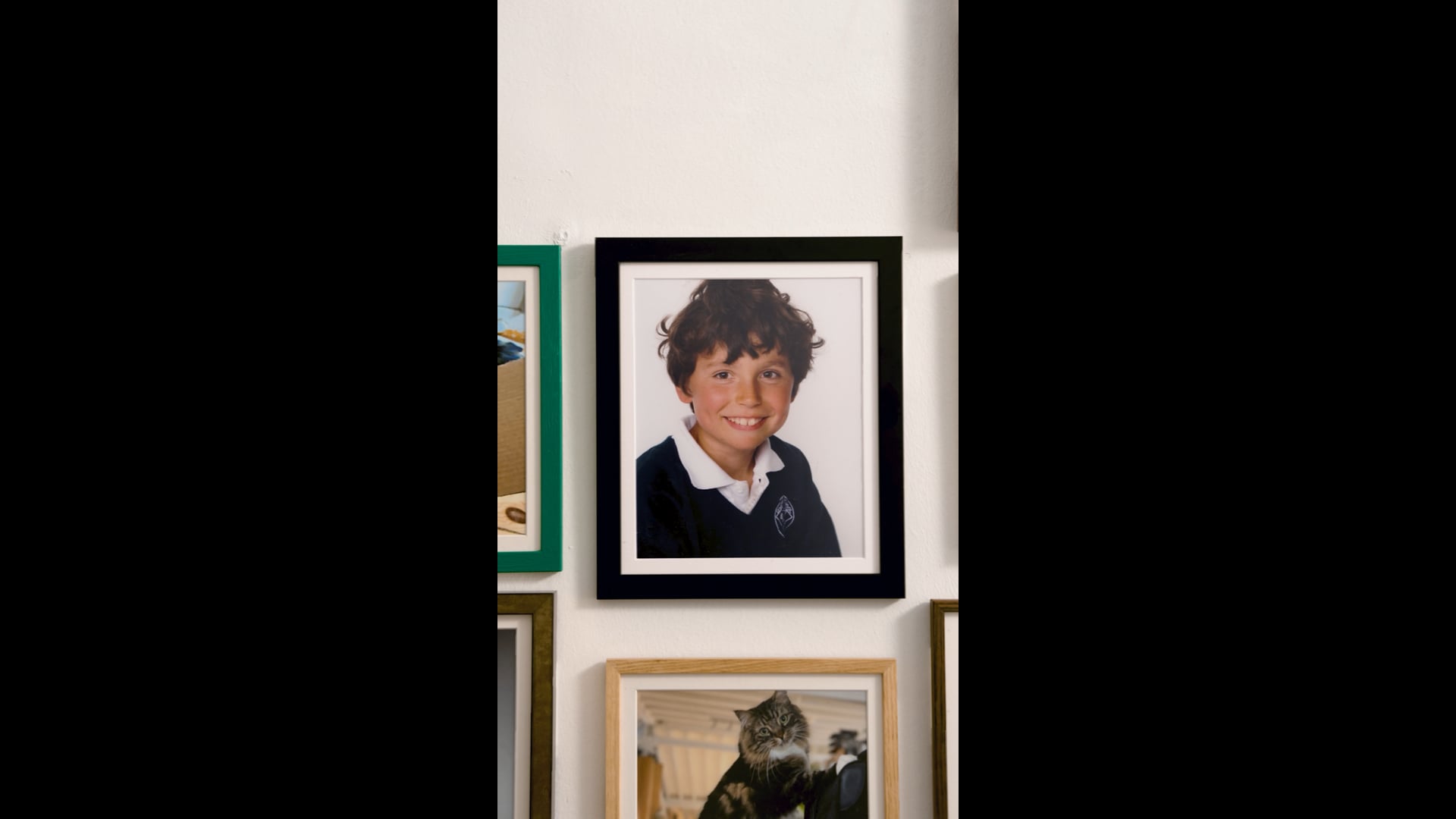 Pets At Home Pets At Home - Cat