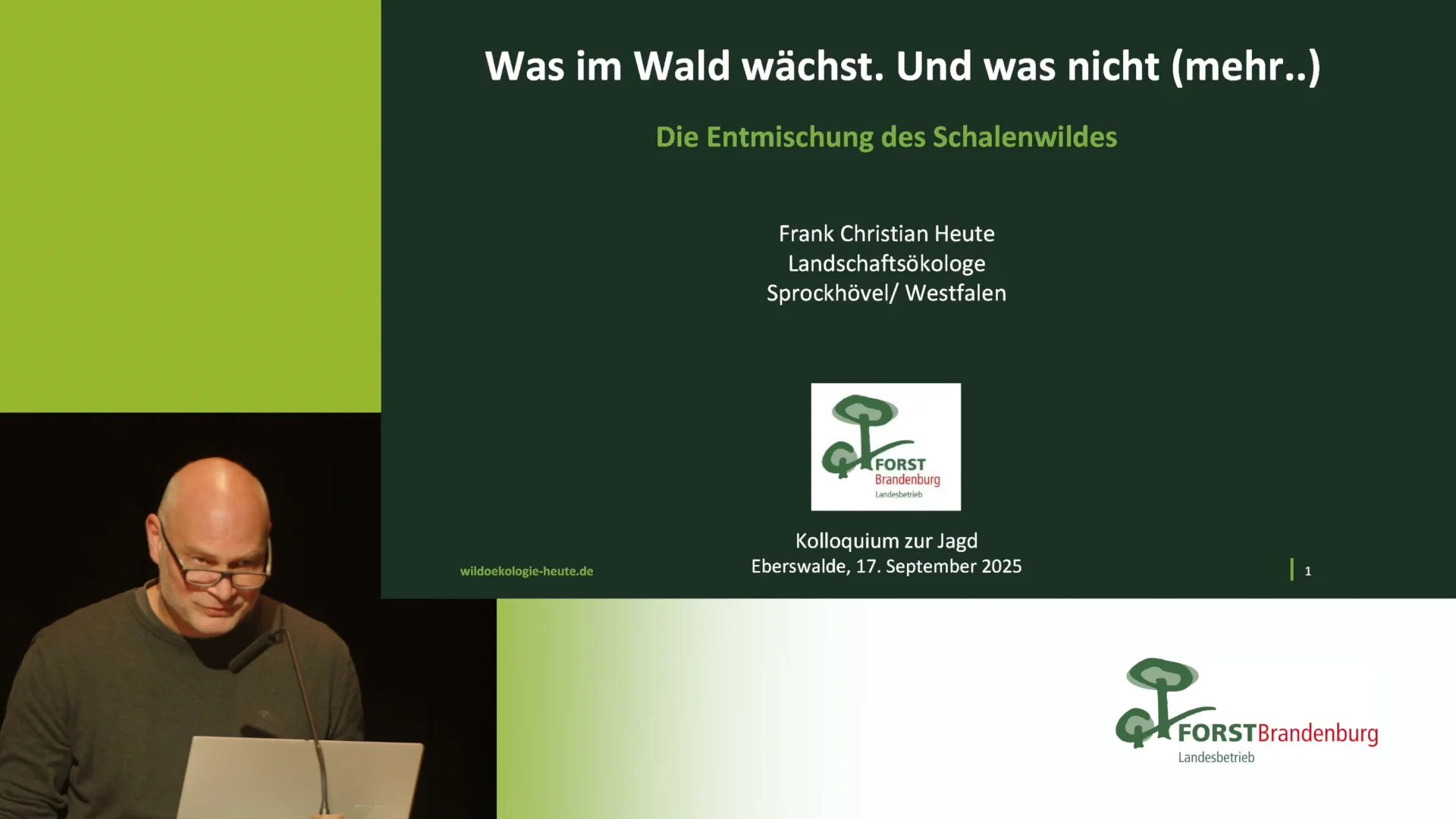 Was im Wald wächst