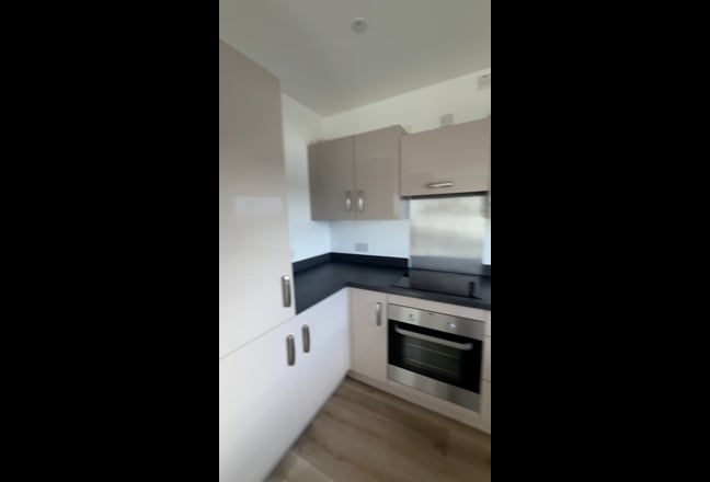 Roommate professional required Main Photo