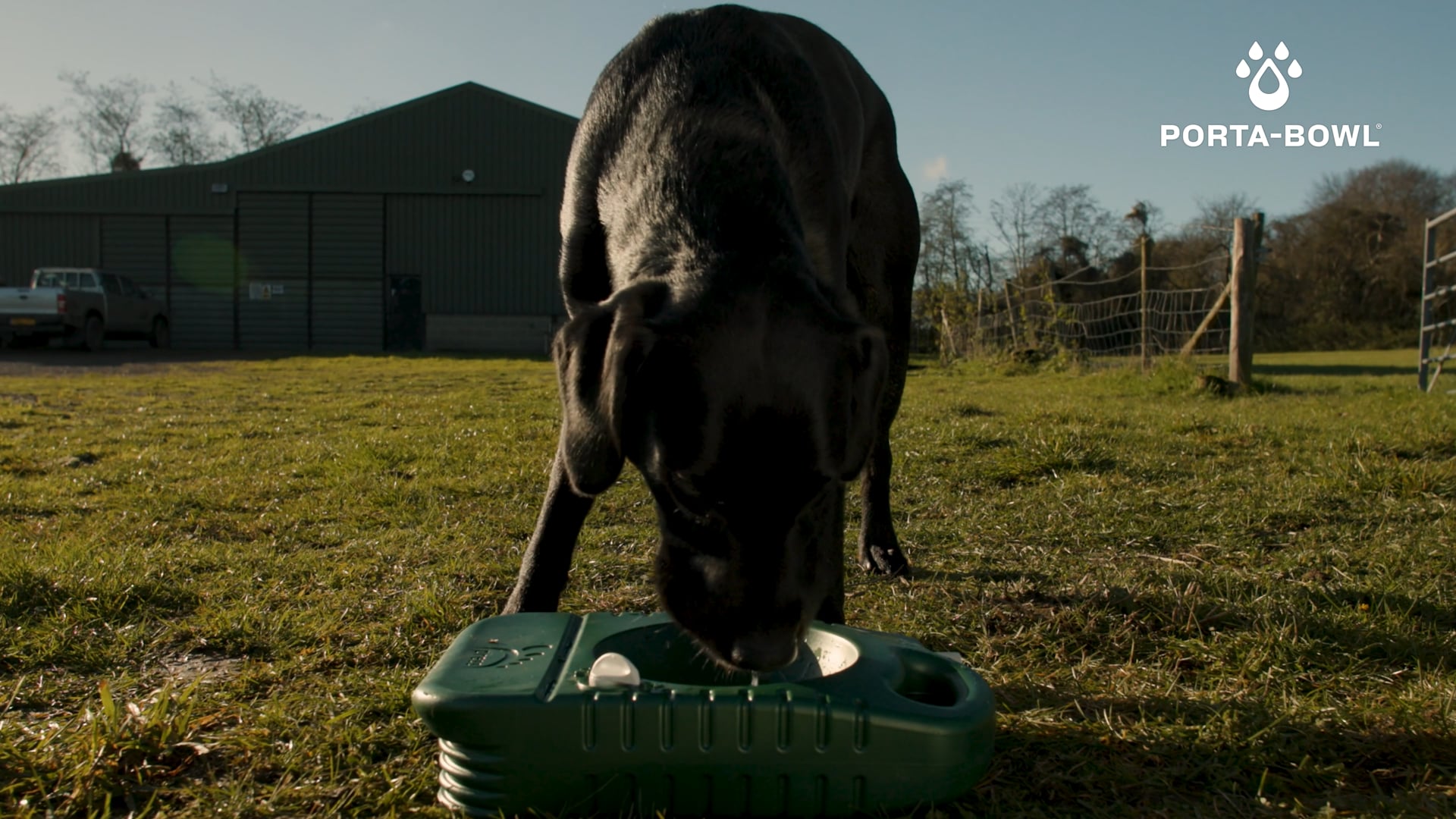 Porta-Bowl - Promo Video (2023) - MASTER