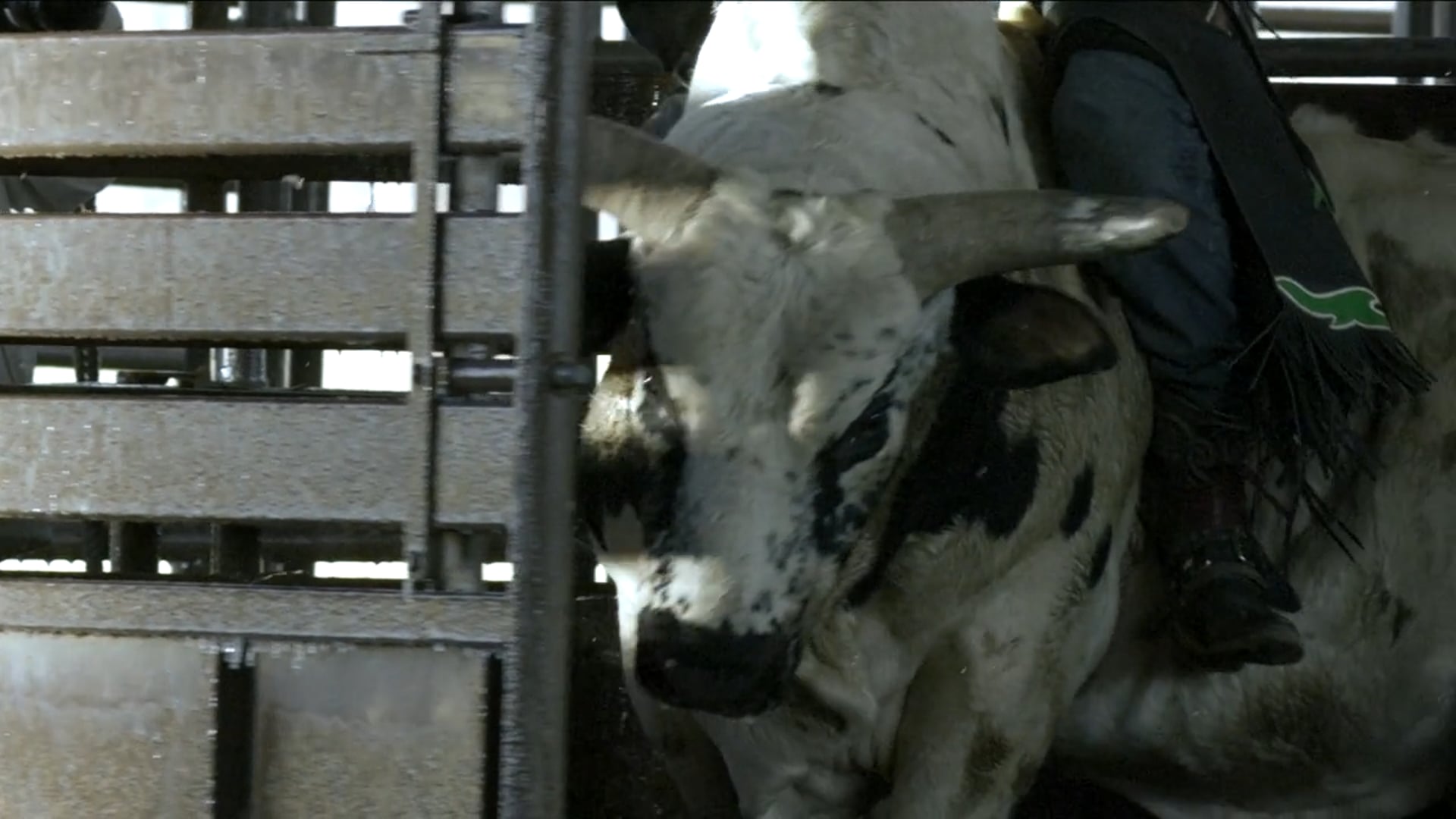 MONSTER  - 8 SECONDS