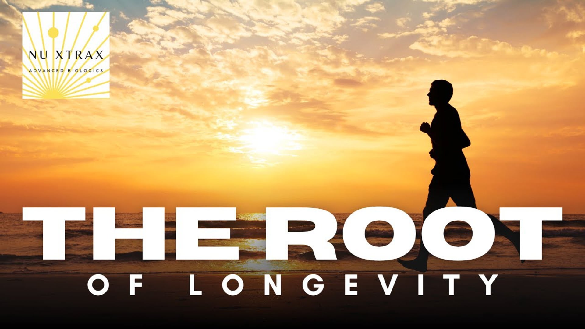 The Root of Longevity