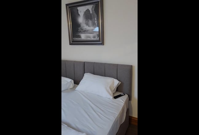 Luxurious self-contained studio Main Photo