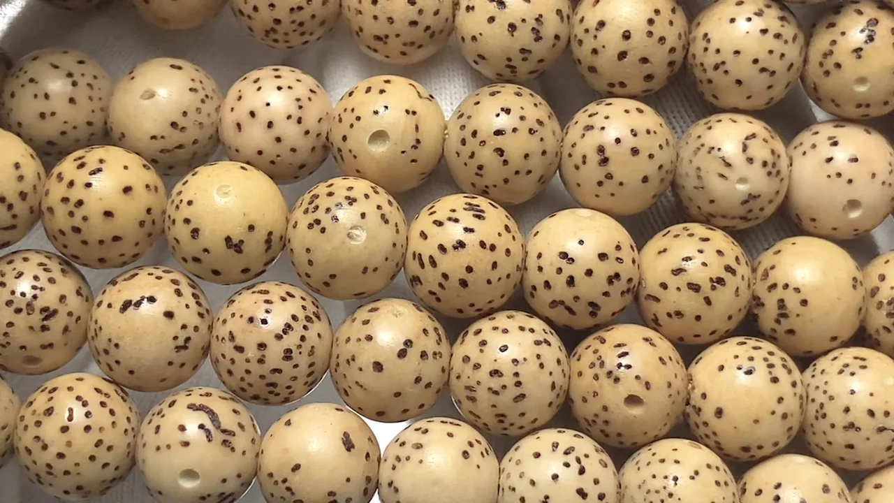 リンデン（菩提樹）の種のビーズ ラウンド（セミラウンド）8mm