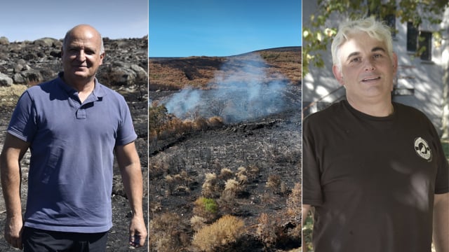 Los incendios, el síntoma de una enfermedad multifactorial